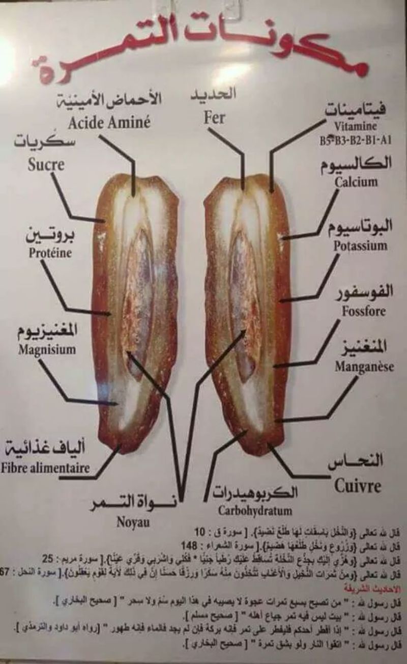 هل تعلم - صفحة 93 93966.fb_img_1520134604874