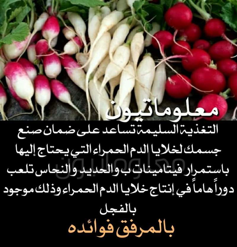 هل تعلم - صفحة 91 93966.fb_img_1521177703319