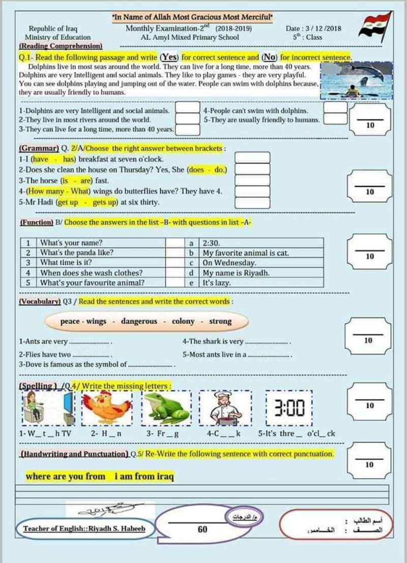 Yes No Questions With Have English Study Page