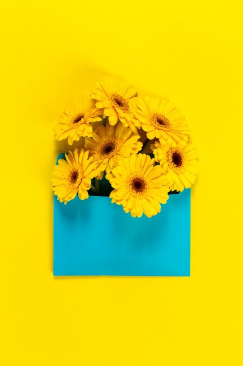 117617.yellow-flowers-on-a-yellow-table-with-a-blue-board.jpg