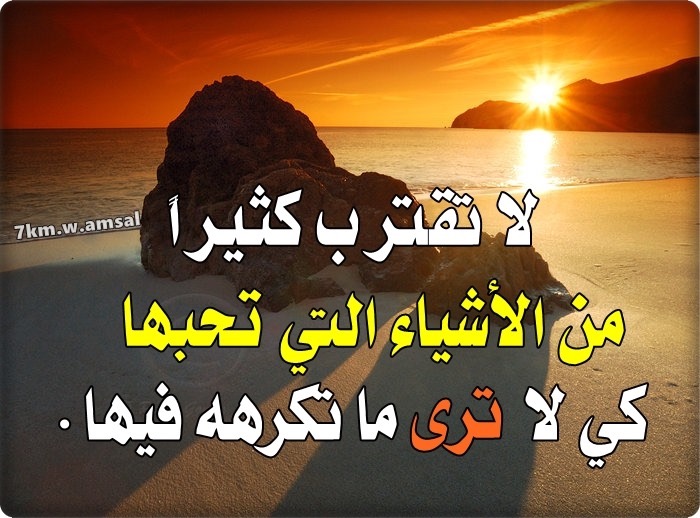 حكم وامثال وأقوال  .. - صفحة 28 40200.6cae004c-2f61-4f9c-88de-652132054dc7